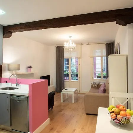 Acogedor Apartamento En El Centro Del Casco Viejo 公寓 *